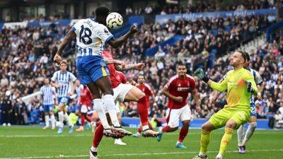 Brighton and Forest slug out eventful 2-2 draw