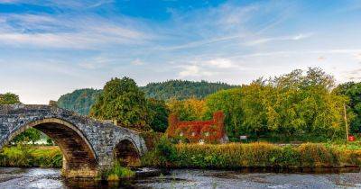 The ‘absolutely magical’ North Wales tearoom you need to visit this autumn - manchestereveningnews.co.uk - Britain - Instagram