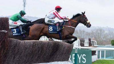 Patrick Neville eyes better luck for The Real Whacker in the Kerry National