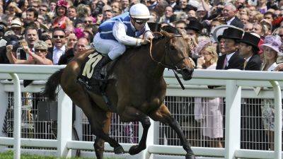 Goldikova to join British Flat racing's Hall of Fame