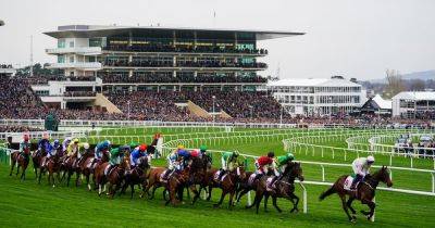 6 major Cheltenham Festival 2025 changes as punters boosted by ticket price freeze