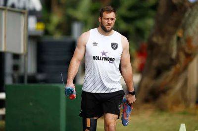 Bok lock Jenkins to debut for Sharks against Connacht