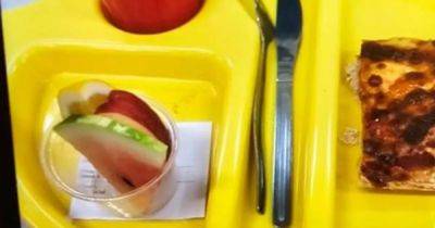 'I wouldn't feed my dogs that!': Mum's fury after daughter sends her photo of primary school dinner