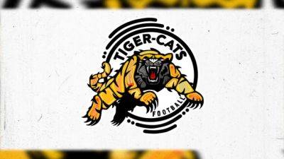 Cayuga artist's redesign of Ticats logo aims to add Indigenous pride to Hamilton's team - cbc.ca - India
