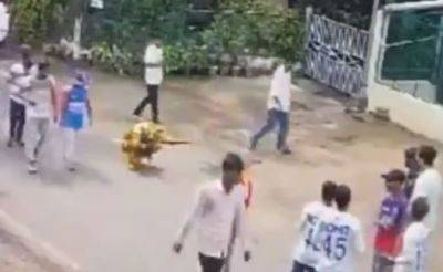 Fresh Footage Reveals Reality Of What Happened With Bangladesh 'Super Fan' Amid Kanpur Test Row