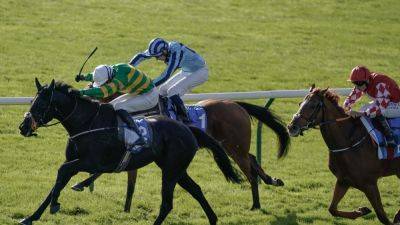 The Shunter on course for Cesarewitch defence