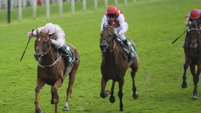 Vauban and Absurde set for Melbourne Cup again