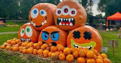 Where to go pumpkin picking in and around Greater Manchester for Halloween 2024