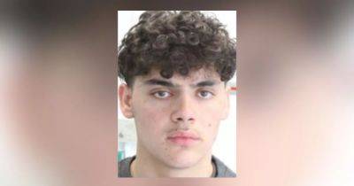 Cops 'increasingly concerned' for teenager missing for four days