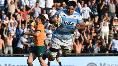 Joe Schmidt - Julian Montoya - Pablo Matera - Juan Cruz Mallia - Mateo Carreras - Joe Schmidt's Australia suffer record 40-point beating at hands of Argentina - rte.ie - Argentina - Australia - South Africa