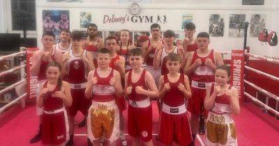 Springhill boxers enjoy successful home show - dailyrecord.co.uk - Scotland