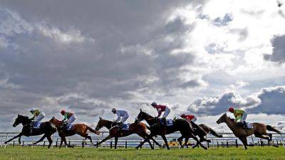 Morning inspection at Fairyhouse ahead of Saturday meet - rte.ie
