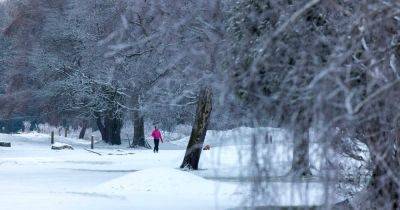 Full borough-by-borough weekend weather forecast as cold snap set to continue with -3C temperatures expected - manchestereveningnews.co.uk