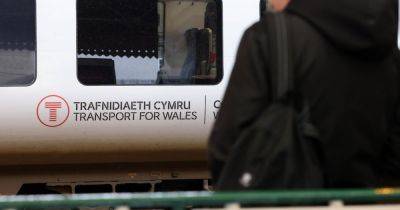Live train updates as animals on Welsh railway line causing long delays - walesonline.co.uk