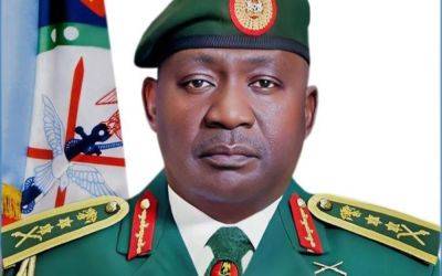2025 Budget: Military expects bountiful harvest from NASS – CDS