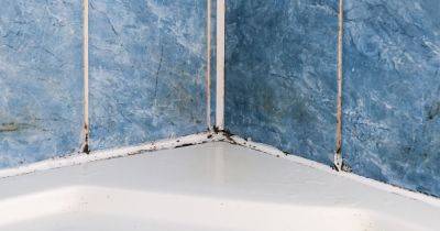 One natural item that will banish bathroom mould and condensation this winter