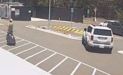 Sam Konstas Effect: Fan's Car Crashes While Seeking Selfie With Australia Star. Watch - sports.ndtv.com - Australia - India