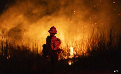 Tennis Great Pam Shriver Says Trophies Stolen After LA Fires