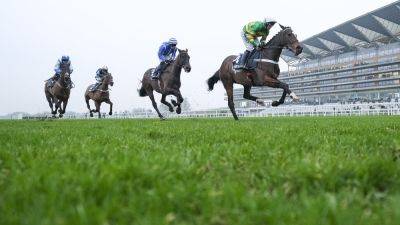 Nicky Henderson - Paul Townend - Nico De-Boinville - Cheltenham Festival - Jonbon dominates Energumene to win at Ascot - rte.ie