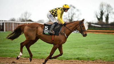 Willie Mullins: Time may yet alter context of State Man's run in Neville Hotels Hurdle at Leopardstown