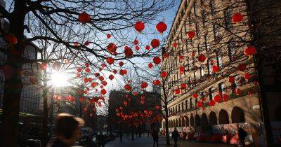 Chinese New Year wishes and greetings 2025