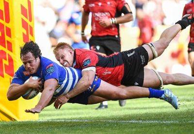 Frans Malherbe - John Dobson - Stormers fend off overseas interest to secure long-term deal with stalwart prop Neethling Fouche - news24.com