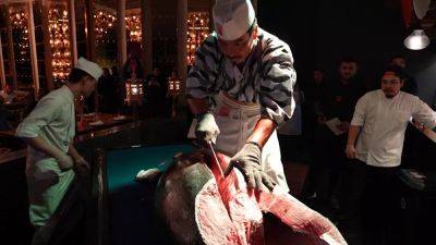 Qatar 365 goes on tantalising journey to explore Doha’s culinary scene - euronews.com - Qatar - Japan