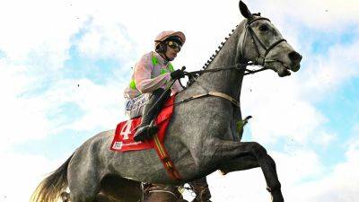 Nicky Henderson - Willie Mullins - Cheltenham - Lossiemouth not going up against Constitution Hill at Cheltenham Trials Day - rte.ie - Britain - Ireland - India - county Gordon