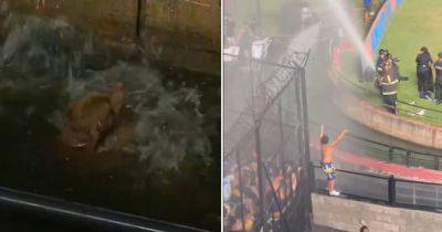 Ander Herrera - Watch scorching Boca Juniors fans blasted by firefighters amid DOG RESCUE in ex-Man United star's mad debut - dailyrecord.co.uk - Usa - Argentina