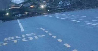 Northern Ireland - Full list of travel disruption as Storm Eowyn batters Greater Manchester in 'chaos' - manchestereveningnews.co.uk - Britain - Scotland - Ireland - county Oxford