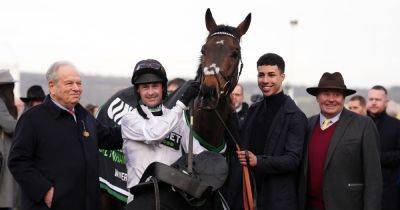 Nicky Henderson - International - Constitution Hill suffers Cheletenham fright: Angry de Boinville has heart in mouth after a brutal last-fence scare - dailyrecord.co.uk