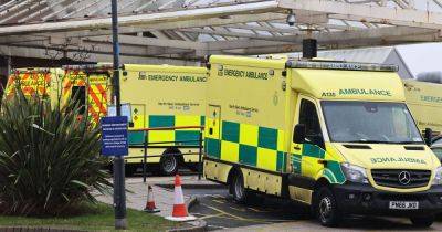 Teen dies after car hit by falling tree during Storm Éowyn