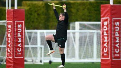 James Lowe - Pete Wilkins - Tadhg Furlong - Finlay Bealham - Jack Aungier - Jack Boyle - Dan Sheehan - Mike Prendergast - Thomas Clarkson - Tadhg Furlong ruled out as Jack Aungier joins Ireland squad in Portugal ahead of Six Nations opener - rte.ie - Portugal - South Africa - Ireland