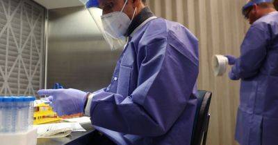 Rare human case of bird flu detected in UK as public issued urgent reminder