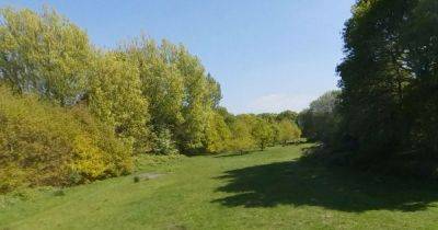 Controversial plans for hundreds of homes on green space move forward