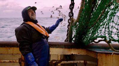 Bay - Safety nets: Can smarter fishing gear protect marine life and keep fishers afloat? - euronews.com - France - Eu