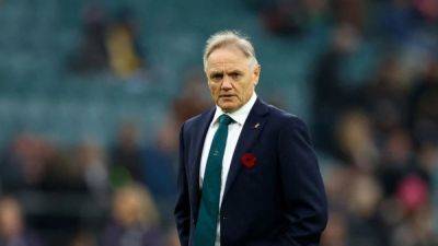 Joe Schmidt - Phil Waugh - Australia want Schmidt signature in two weeks - channelnewsasia.com - Britain - Australia - Ireland - New Zealand
