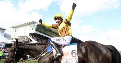 Willie Mullins - Bay - Garry Owen - Dublin Racing Festival Day 1 tips as Garry Owen predicts Irish Gold Cup glory for Galopin Des Champs - dailyrecord.co.uk - Scotland - Ireland - county Chase