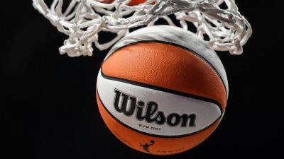 Detroit seeks WNBA team again; Grant Hill, Goff support bid - ESPN