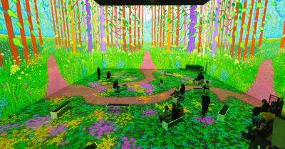 10 incredible things to do in Greater Manchester in January - manchestereveningnews.co.uk