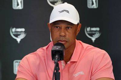 'Golf reimagined': TGL circuit backed by Woods and McIlroy tees off