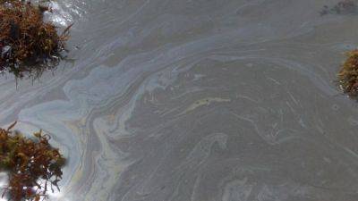 ‘An ecological disaster’: Russia deals with aftermath of massive fuel oil spill