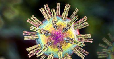 Alzheimer's Disease link revealed between head injuries and viruses