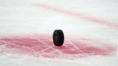 NHL postpones Kings' home game vs. Calgary due to wildfires - ESPN