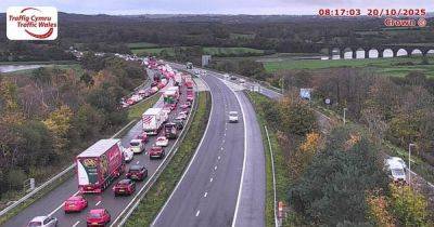 Crash causes long delays on M4 near Swansea - live updates