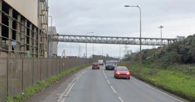 Horse dies in crash that shut major Cardiff route - walesonline.co.uk