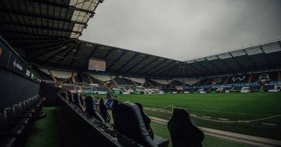 Swansea City v Leicester City LIVE: Kick-off time, team news and score updates