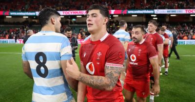 Jac Morgan - Aaron Wainwright - Tommy Reffell - Rugby LIVE: Wales v Argentina reaction as announcement imminent and England call in Lion - walesonline.co.uk - Argentina