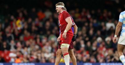 Aaron Wainwright - International - Tommy Reffell - Wales press conference LIVE as new player joins squad amid injury update - walesonline.co.uk - Argentina - South Africa - county Morgan