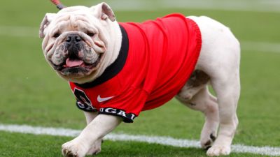 Georgia, Oklahoma rise in AP Top 25; three Group of 25 teams ranked - ESPN